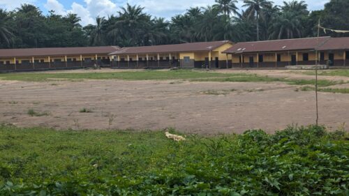 A view of Kankaylay Islamic Agricultural Secondary School (Junior and Senior levels) in Gbainty Wallah - the only school serving students from surrounding villages